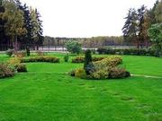 Озеленение,  ландшафтный дизайн,  благоустройство Атырау