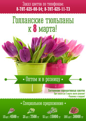 Голландские тюльпаны к 8 марта!