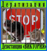 Дезостанция«ВИКТОРИЯ»,  дератизация (уничтожение грызунов). в Алматы.