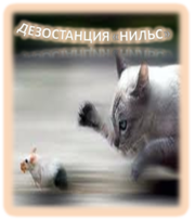 Уничтожение мышей в Алматы и Алматинской области