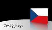 Профессиональные переводы с/на чешский язык