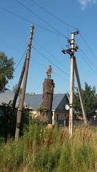 Спилим,  обрежем деревья. Верхолаз (арборист) Евгений,  спецтехника.