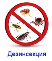Уничтожения насекомых Дезинсекция