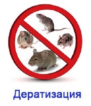 Уничтожения грызунов Дератизация