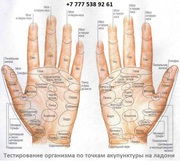 Диагностика организма за 15 минут