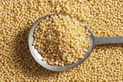 Millet supplier