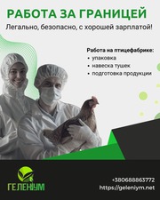Работа за границей ! Легально,  безопасно,  с хорошей зарплатой!