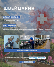 Pабота на фермe в Швейцарии